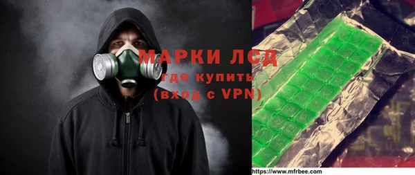 spice Краснослободск
