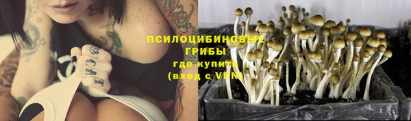 spice Краснослободск
