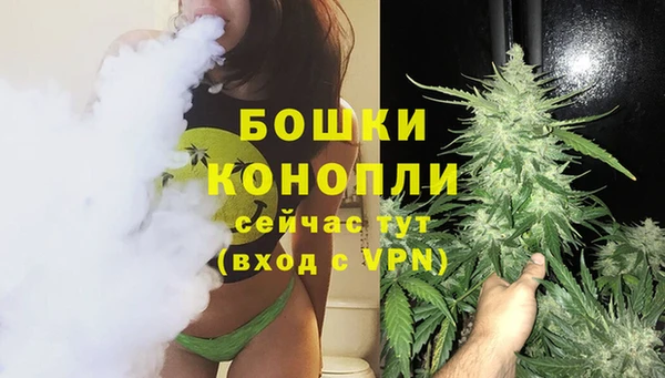 spice Краснослободск