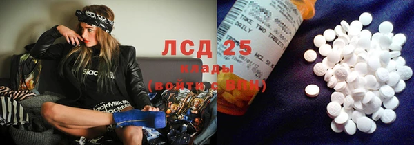 spice Краснослободск
