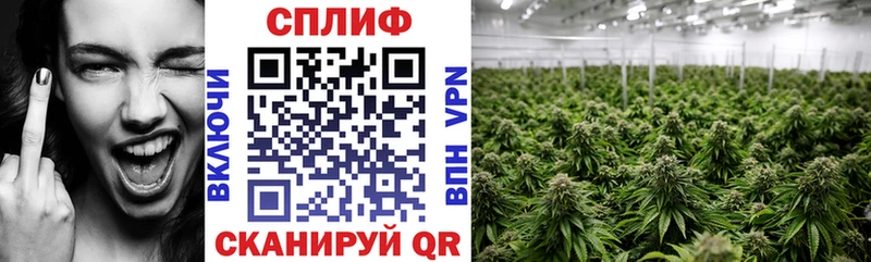 Конопля Amnesia  ссылка на мегу вход  Арзамас  хочу наркоту 